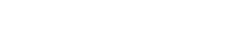 Net News Ledger
